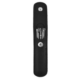 Stainless Steel Ear Pick Leather Suit 6-piece Set (Option: Black Leather Case Packaging)