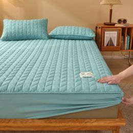 All Inclusive Raw Cotton Soybean Fiber And Clip (Option: Aqua Blue-200x220cm)