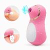 Intense Suction Clitoral Stimulator Female Massager Pink Estimulador Feminino De Seios E ClitÃ³ris 10 Velocidades vibradoras femininos